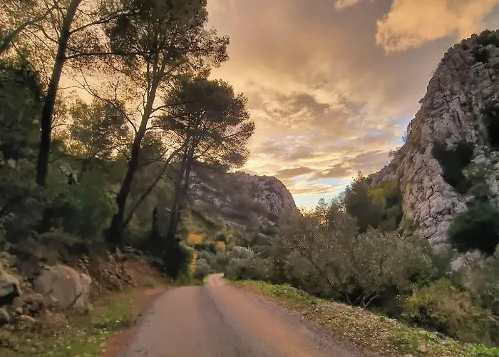 Rustic Luxury Fulmin